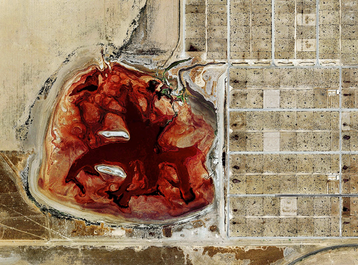 a feedlot waste lagoon - the black dots inside the grid are cows