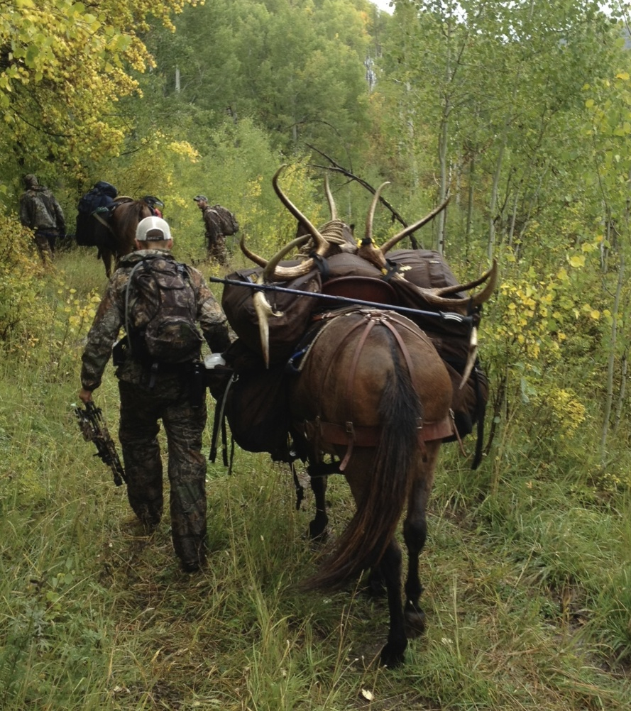 Packing Out of Lonesome Dove